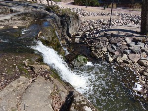 IMG_1402