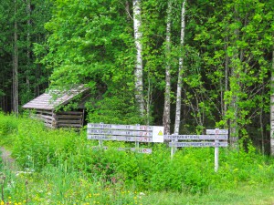 IMG_1906