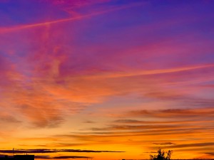 IMG_2453