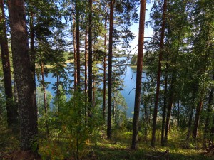 IMG_4288