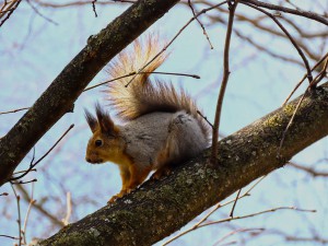 IMG_9582