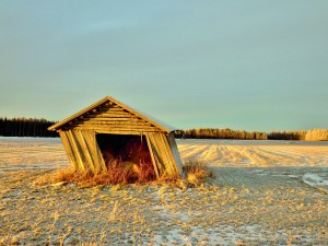 Reijo_Karkkainen_isok