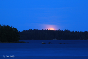 Susann_lundbergmanuppgangiaugusti