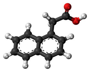 naphthaleneacetic-g86e47d04e_1920