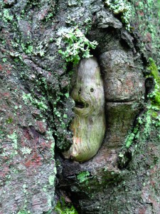 tuula_taskinen_vaasa